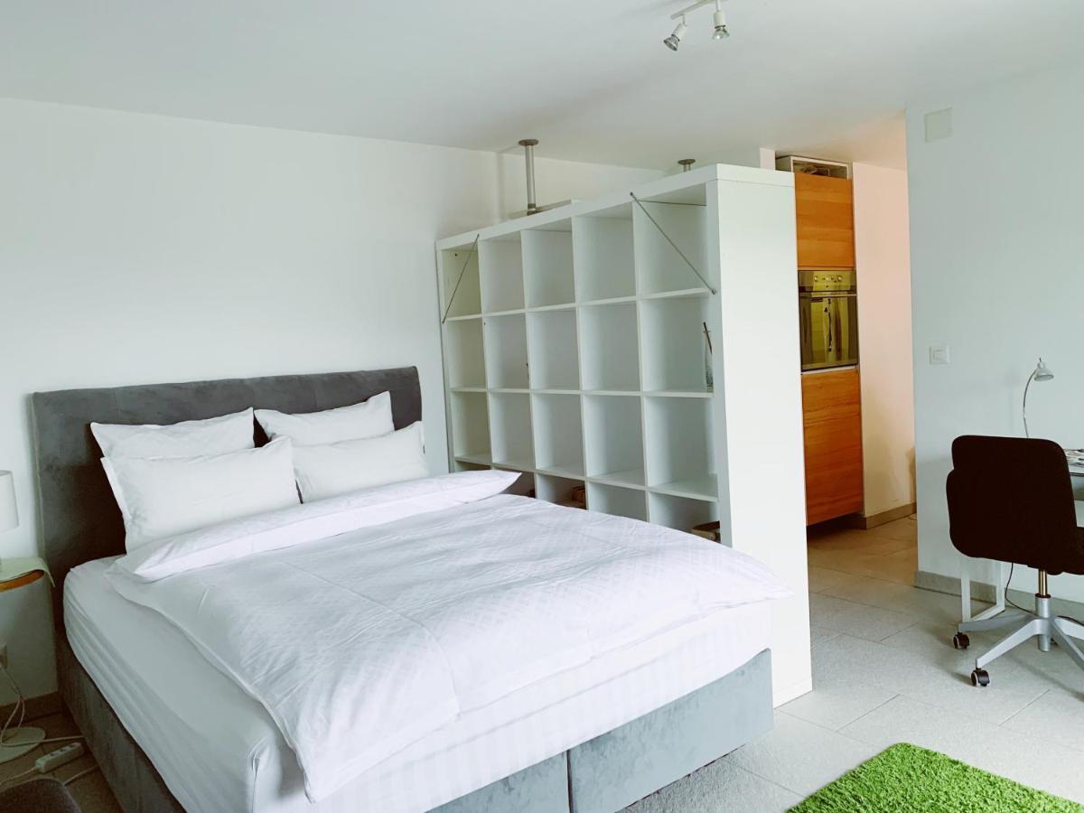 Апартаменты N1 Standalone House Baden Hertenstein Экстерьер фото